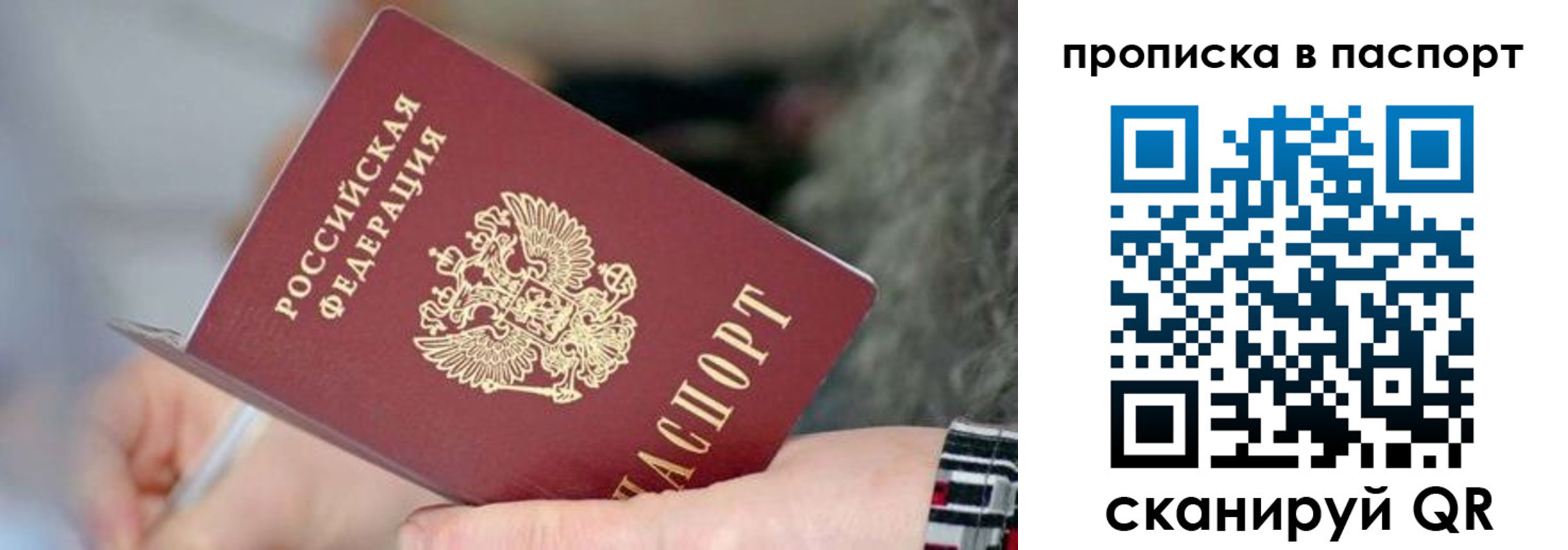 прописка 2025 в Камышине